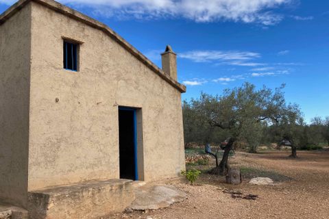 Finca i El Perello, Tarragona, El Perello - € 77.000 | Ref: Finca Manu Ampo - foto 34